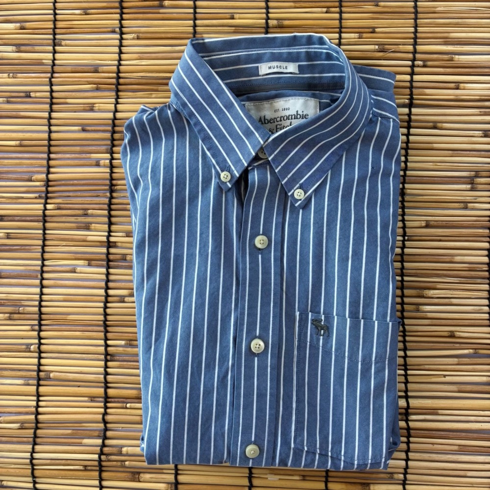 Abercrombie & Fitch Mens Muscle Fit Blue White Striped Oxford Shirt Medium M